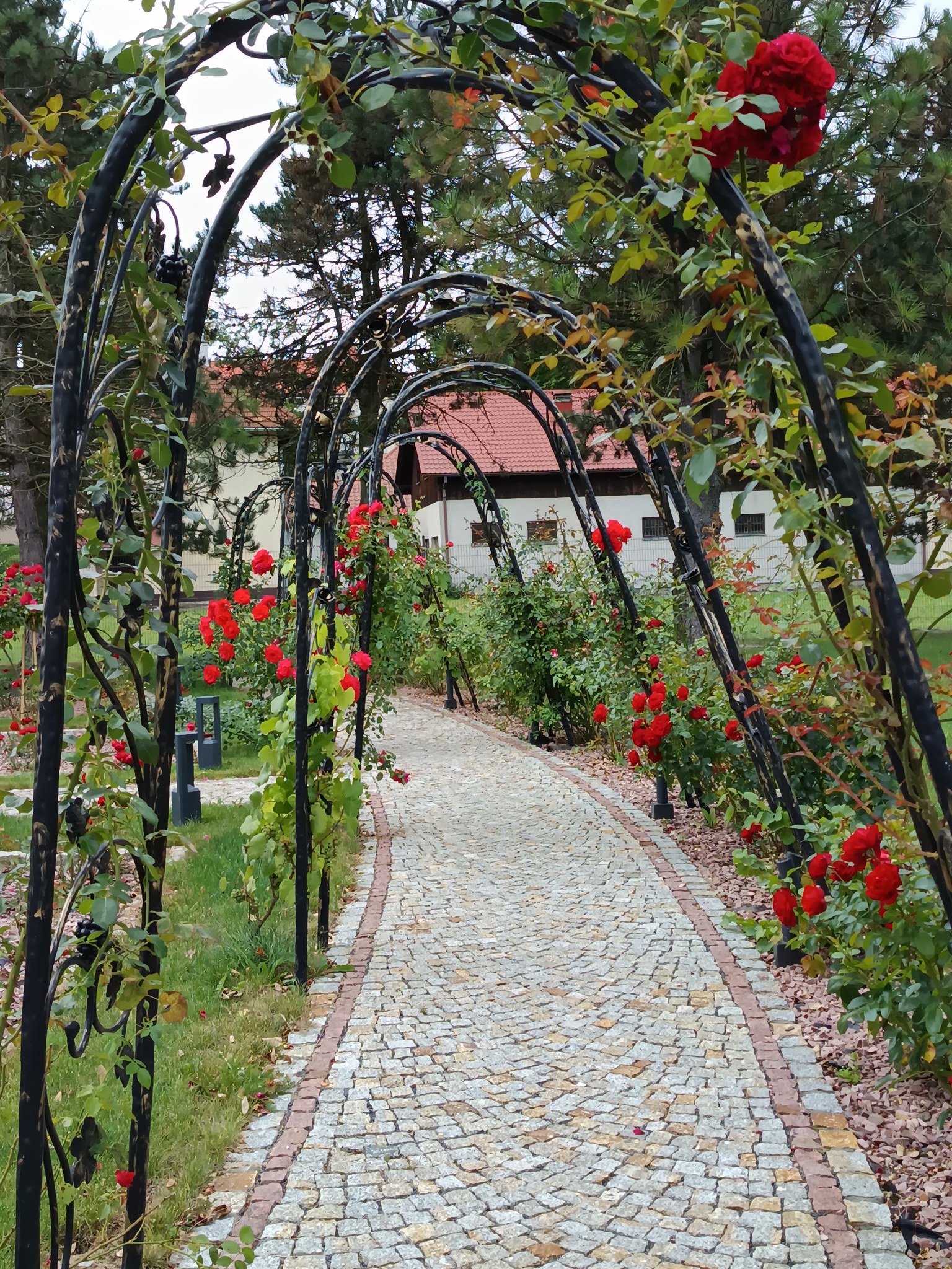 Spotkajmy się w ogrodzie parafialnym! 7 września 2025